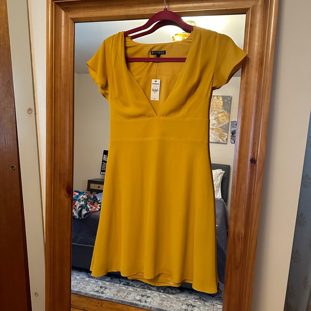 NWT Express Dress sz 4